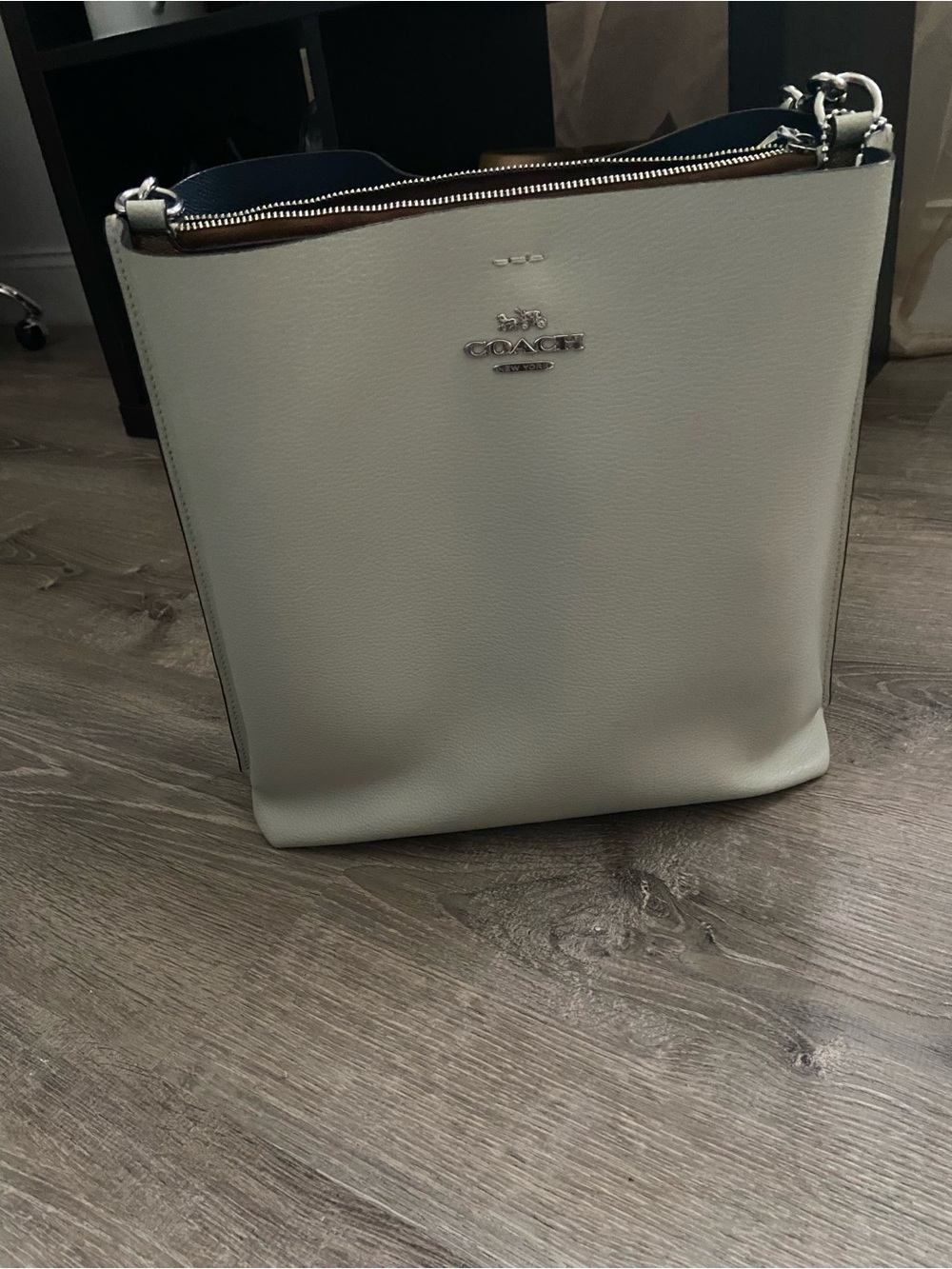 Coach Mint Green/ Sea Form Leather Zip-Top Shoulder & Crossbody Bag